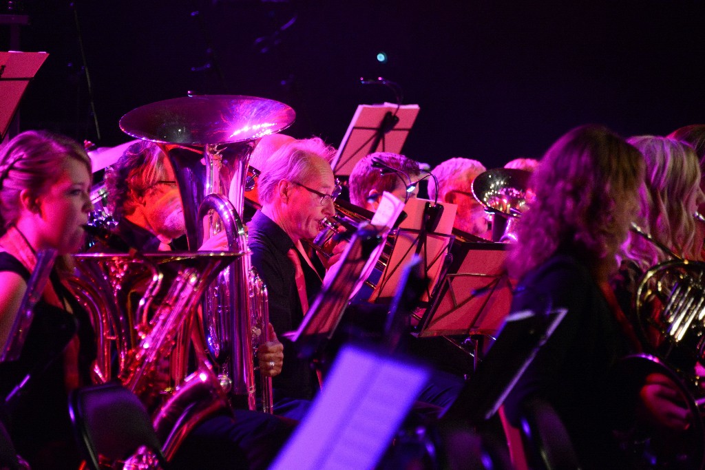 ../Images/Jubileumconcert 100 jaar Harpe Davids 205.jpg